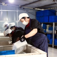 无锡食堂承包 干净放心