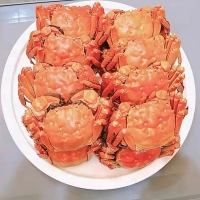 清蒸阳澄湖大闸蟹